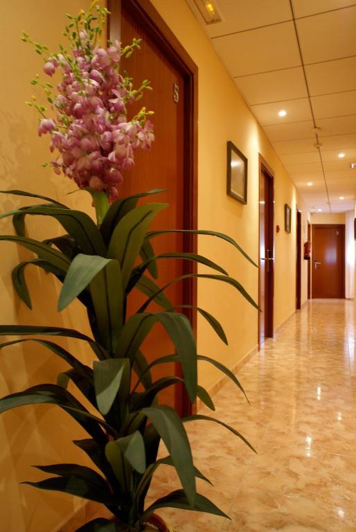 Hotel Mont-Roig Luaran gambar